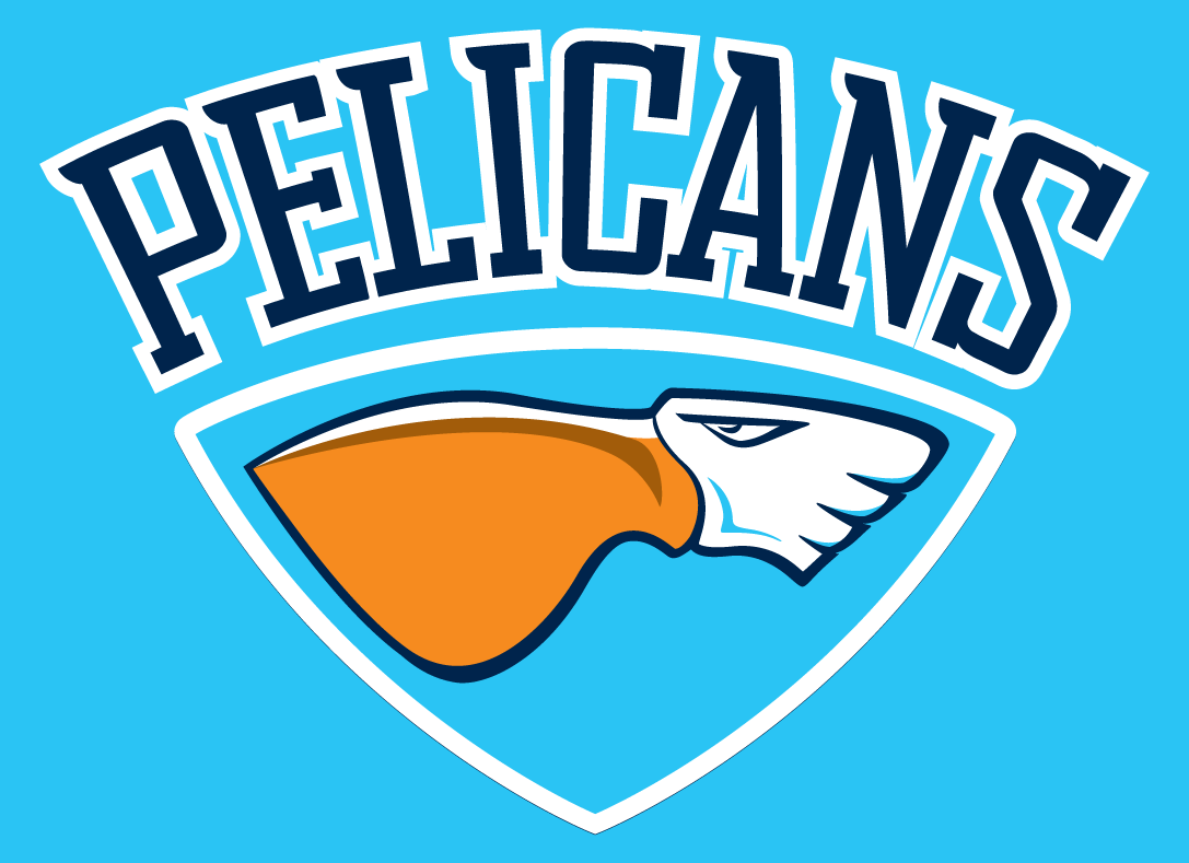 Lahti Pelicans 2017-Pres Alternate on Dark Logo iron on heat transfer